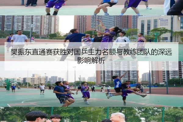 樊振东直通赛获胜对国乒主力名额与教练团队的深远影响解析